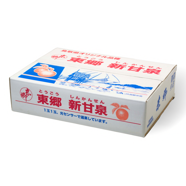 東郷梨 新甘泉 | 【JA公式通販】鳥取県産すいか・梨のお取り寄せならJA