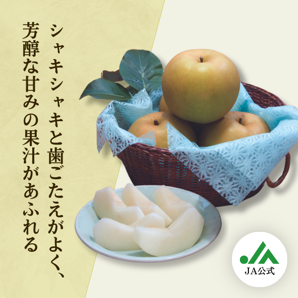 鳳梨 琴浦梨 新甘泉 | 【JA公式通販】鳥取県産すいか・梨のお取り寄せならJA