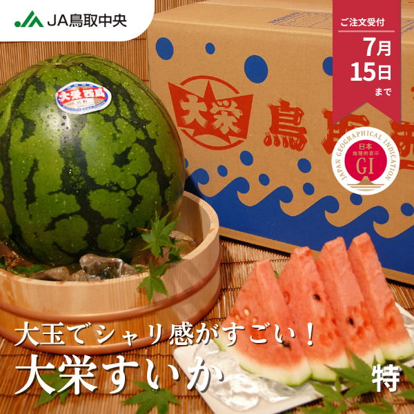 大栄すいか 特サイズ