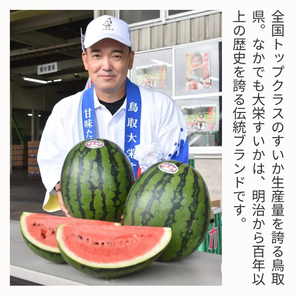 大栄すいか 特サイズ | 【JA公式通販】鳥取県産すいか・梨のお取り寄せ