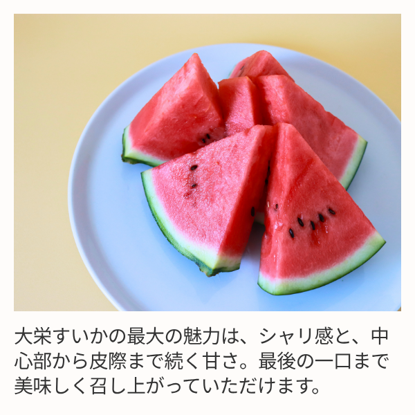 大栄すいか 特サイズ | 【JA公式通販】鳥取県産すいか・梨のお取り寄せ