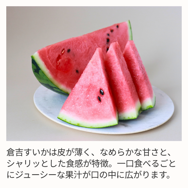 倉吉すいか 3Lサイズ | 【JA公式通販】鳥取県産すいか・梨のお取り寄せ