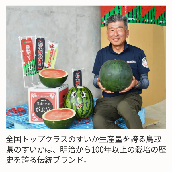 琴浦がぶりこ 特大サイズの商品画像 3