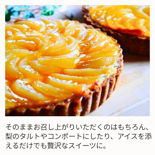 琴浦梨 新甘泉の商品画像 6