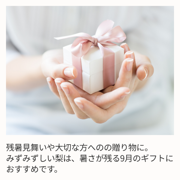 琴浦梨 新甘泉の商品画像 7