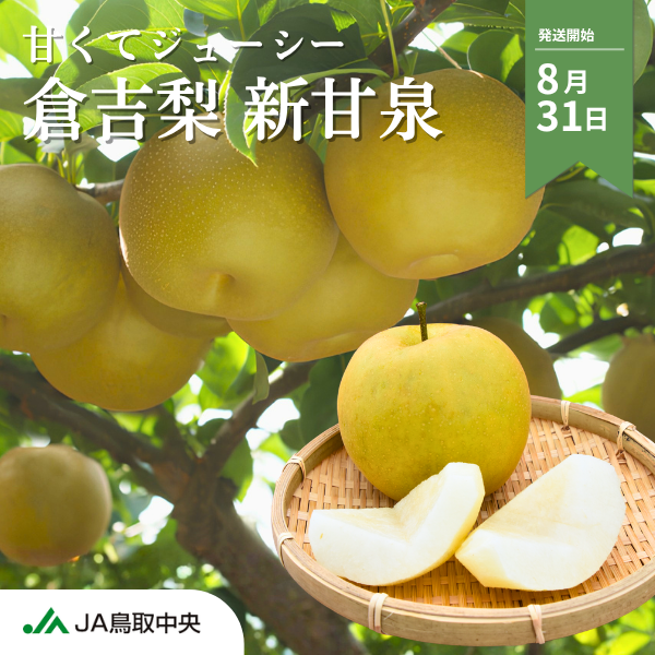倉吉梨 新甘泉