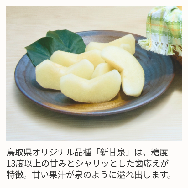 倉吉梨 新甘泉の商品画像 3