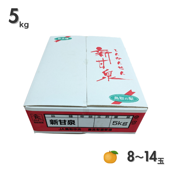 倉吉梨 新甘泉の商品画像 5