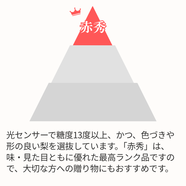 琴浦梨 新甘泉の商品画像 4
