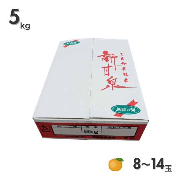 琴浦梨 新甘泉の商品画像 5