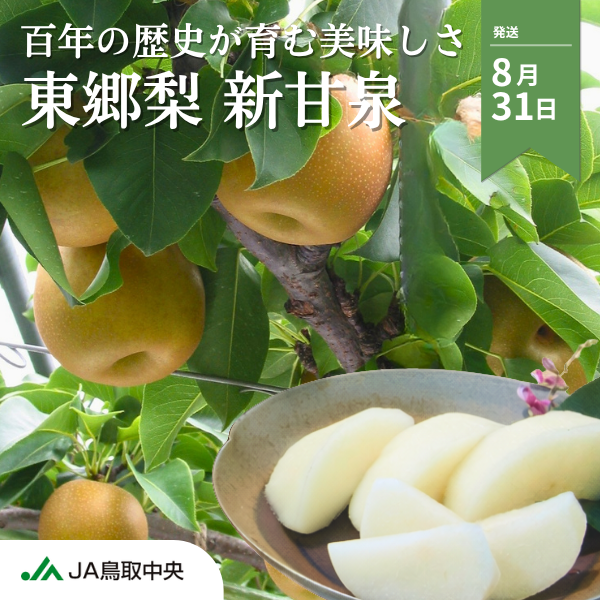 東郷梨 新甘泉の商品画像 1