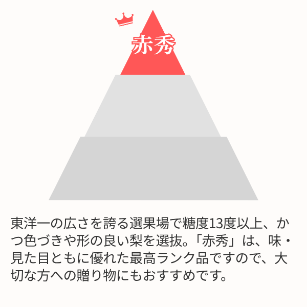 東郷梨 新甘泉の商品画像 5