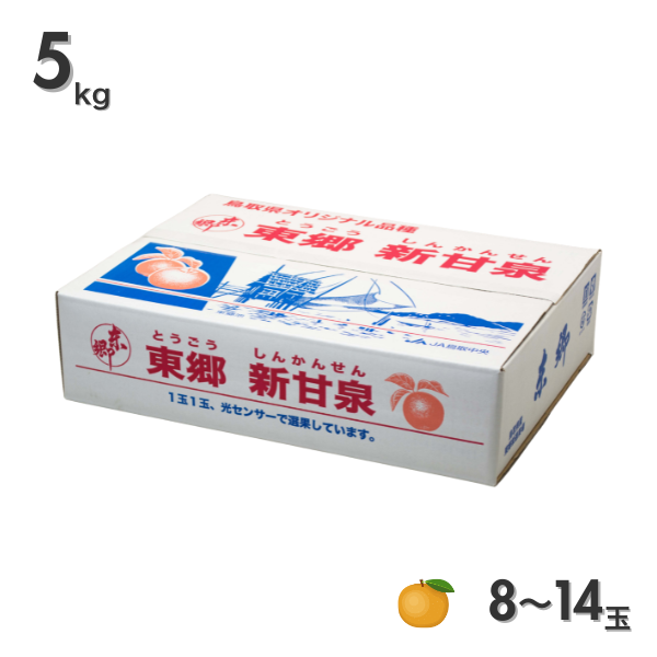 東郷梨 新甘泉の商品画像 6
